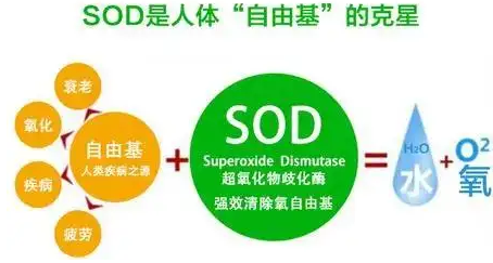 微信截圖_20221130124540.png